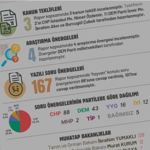 featured-meclis-raporu-2025_ana-sayfa