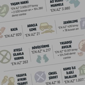 featured-medya-ihlal-raporu-2025_ana-sayfa